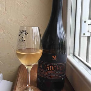 Macération - Château La Trochoire - Famille Rocour-Mertens 