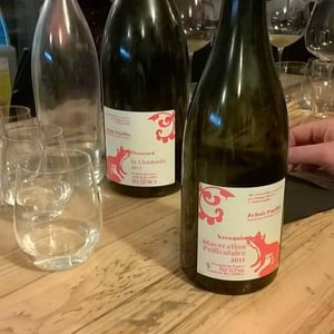 Maceration Pelliculaire 2015