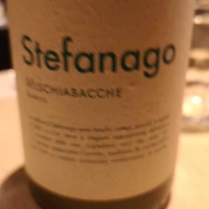Macerato - Castello di Stefanago - antonio-giacomo-baruffaldi