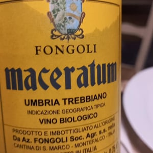 Maceratum - Fongoli - Angelo Fongoli 
