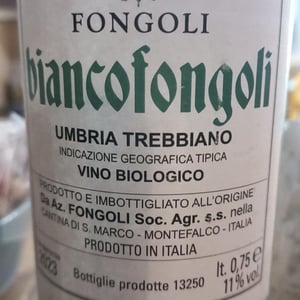 Biancofongoli - Fongoli - Angelo Fongoli 
