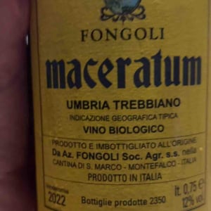 Maceratum - Fongoli - Angelo Fongoli 
