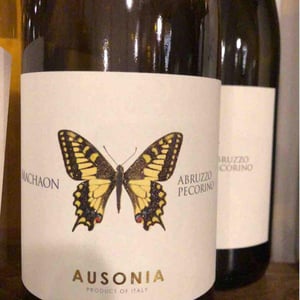 Machaon - Ausonia - Simone Binelli 