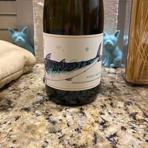 Mackerel - Carboniste - jacqueline-and-dan-person -2021