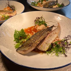 Mackerel - Glou Glou - 439757