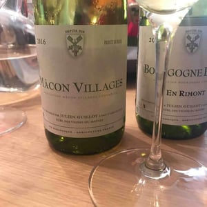Clos des Vignes du Maynes - Julien Guillot - Mâcon Villages