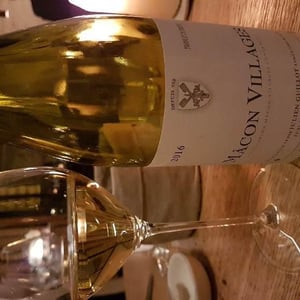 Clos des Vignes du Maynes - Julien Guillot - Mâcon Villages