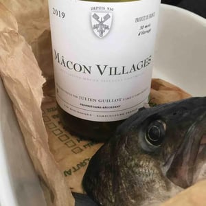 Clos des Vignes du Maynes - Julien Guillot - Mâcon Villages