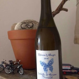 Mâcon-Villages - Côtes de la Molière - isabelle-bruno-perraud