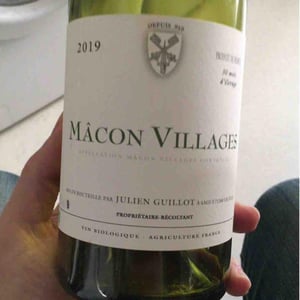 Clos des Vignes du Maynes - Julien Guillot - Mâcon Villages