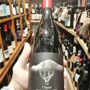 Made In Palmento & Anfora - I Vigneri - Salvo Foti -2020