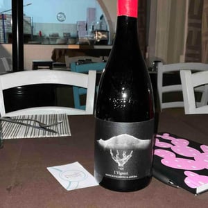 Made In Palmento & Anfora - I Vigneri - Salvo Foti -2020