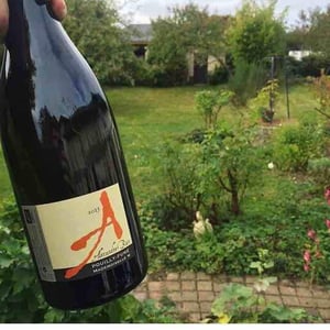 Domaine Alexandre Bain - Alexandre Bain - Mademoiselle M