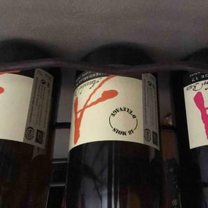 Domaine Alexandre Bain - Alexandre Bain - Mademoiselle M