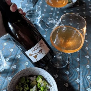 Madloba Orange 2018