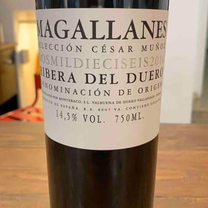 Magallanes - Selección Cesar Muñoz - Cesar Muñoz 