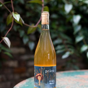 Magic Müller - Weingut Prāṇa - cosima-lindenau-niklas-eisenacher