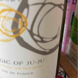 Magic of Ju-Ju 2021