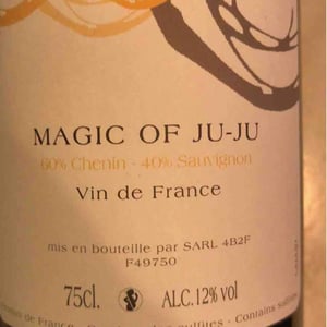 Magic of Ju-Ju - Domaine Mosse - sylvestre-joseph-mosse