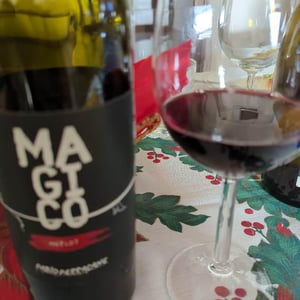 Magico - Azienda Agricola Ferracane - Fabio Ferracane 
