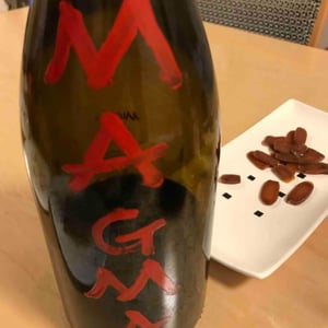 Magma 2012
