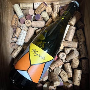 Magmatic - Les Vins De Mont-Val - sophie-valancant-jean-yves-domont -2021