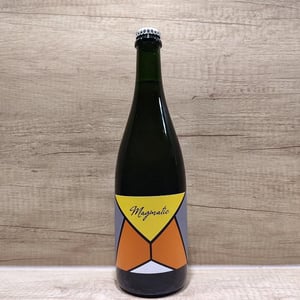 Magmatic - Les Vins De Mont-Val - sophie-valancant-jean-yves-domont -2021