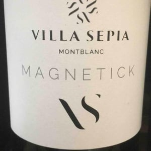 Magnetick - Villa Sépia - Catherine & Frédéric Albert -2017