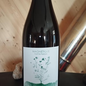 Magnétique - Chai Karine Farges - Karine Farges -2023