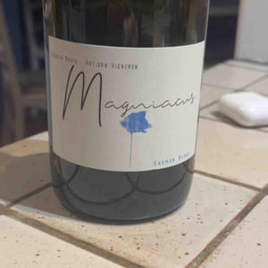 Magniacus Blanc - Domaine Régnier-David - Jean-Francois Régnier 