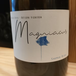 Magniacus Blanc - Domaine Régnier-David - jean-francois-regnier