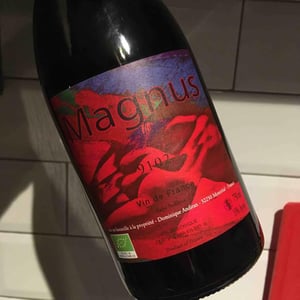 Magnus - Haut-Campagnau - Dominique Andiran 