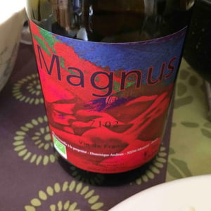 Magnus 2017