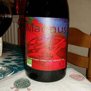 Haut-Campagnau - Dominique Andiran - Magnus