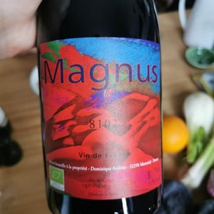 Magnus 2018
