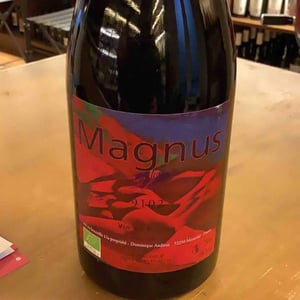Magnus - Haut-Campagnau - dominique-andiran