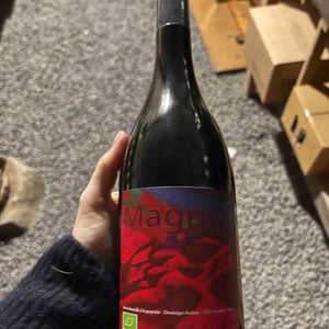 Magnus - Haut-Campagnau - dominique-andiran