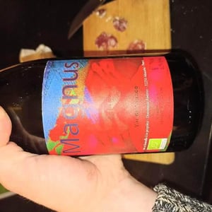 Haut-Campagnau - Dominique Andiran - Magnus