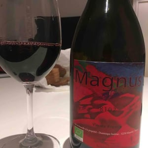 Magnus - Haut-Campagnau - dominique-andiran