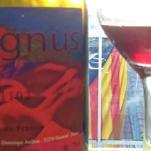 Haut-Campagnau - Dominique Andiran - Magnus