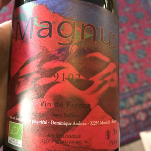 Magnus - Haut-Campagnau - dominique-andiran