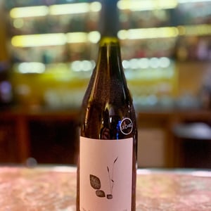 Mai Uguale - Tenuta Saiano - Manlio Maggioli, Alex Fulvi -2020