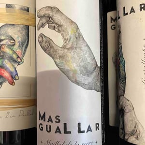 Maillol De La Serre - Mas Guallar - camila-opazo -2020