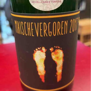 Maischevergoren - Weingut Rebenhof - Hartmut Aubell 
