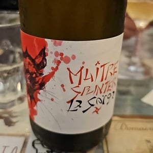 Maître Splinter - La Sorga - antony-tortul
