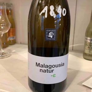 Malagousia - Tetramythos Winery - Τετράμυθος - panos-papayiannopoulos-aristos-spanos-eustatius-spanos