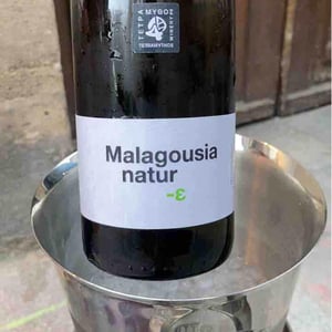 Malagousia - Tetramythos Winery - Τετράμυθος - Panos Papayiannopoulos, Aristos Spanos, Eustatius Spanos 