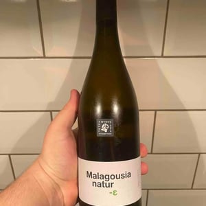 Malagousia Natur - Tetramythos Winery - Τετράμυθος - Panos Papayiannopoulos, Aristos Spanos, Eustatius Spanos 