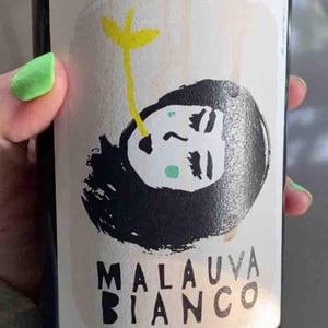 Malauva Casa Agricola - Elisa Cortese, Giovanni Adua - Malauva Bianco
