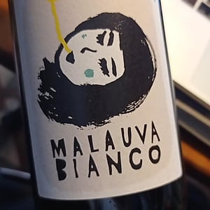 Malauva Bianco - Malauva Casa Agricola - elisa-cortese-giovanni-adua